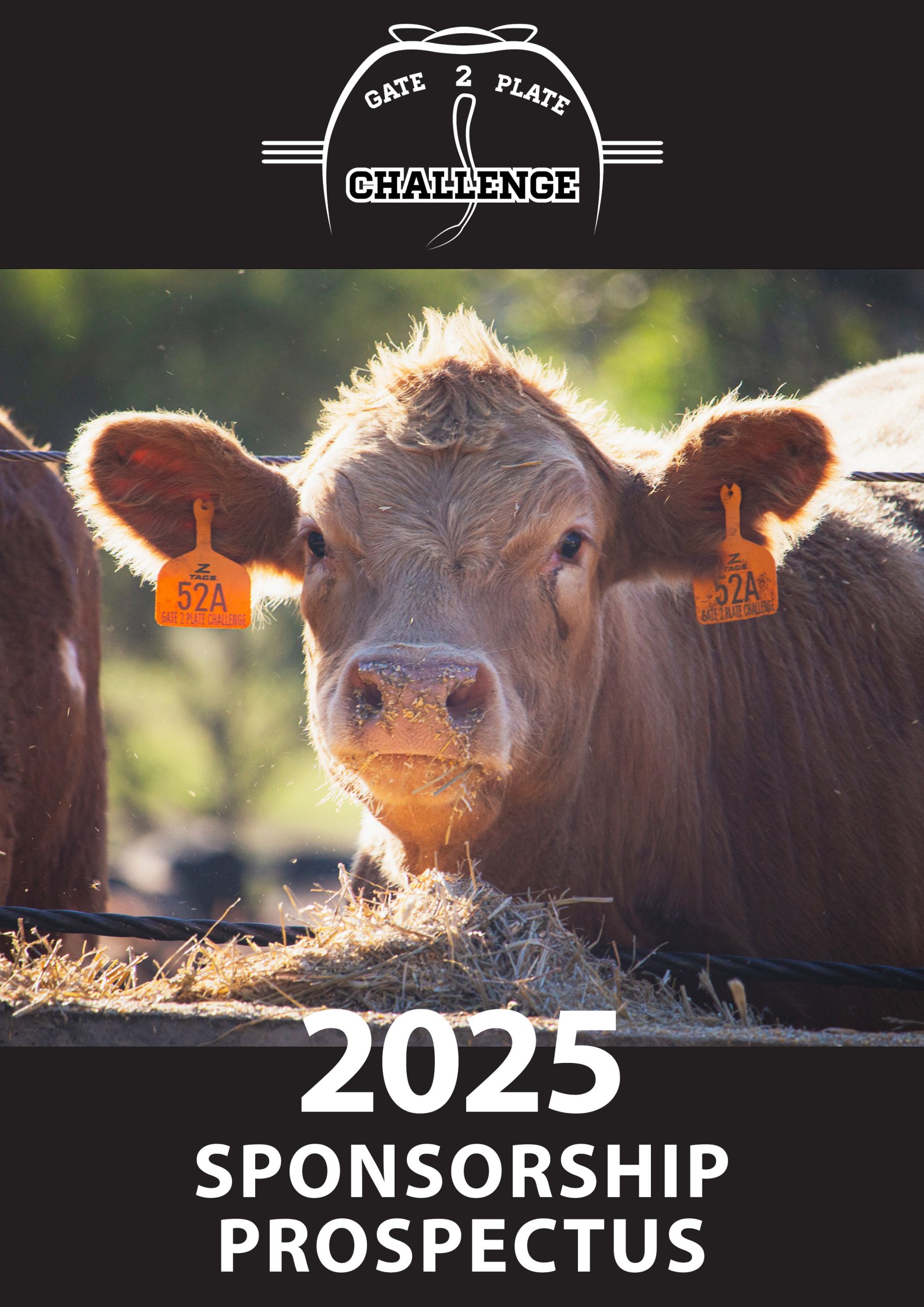 Partnership Prospectus 2025 copy